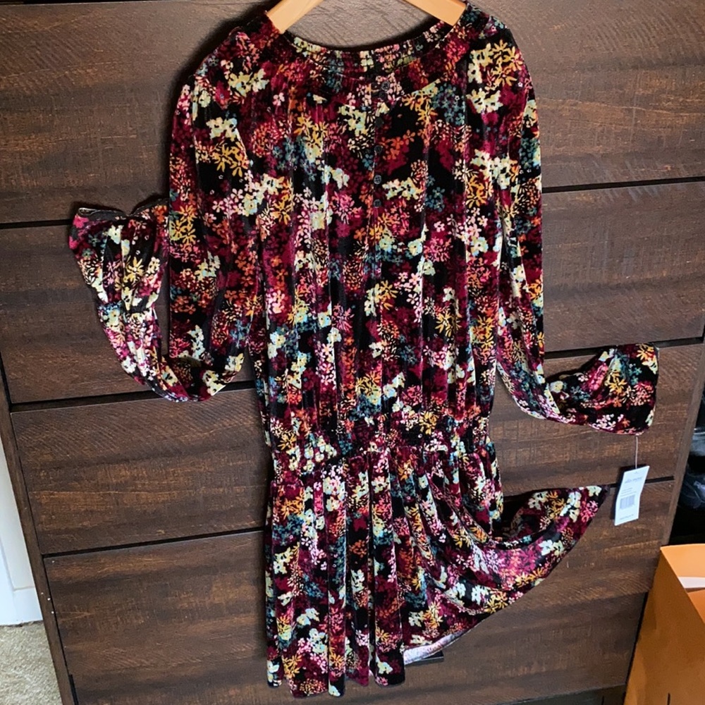 Ella Moss NWT Black Velvet Floral Print Dress S 14